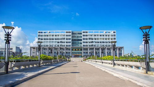 機(jī)會更大 這10所3 院校招生計(jì)劃最多 全是公辦