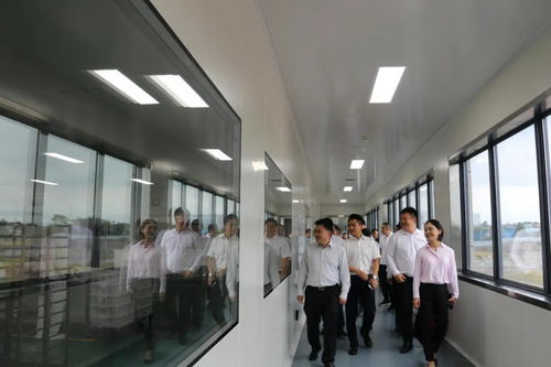 省市場監(jiān)管局局長萬鵬龍調(diào)研我市食品安全工作要求 壓實主體責(zé)任加強監(jiān)管力度